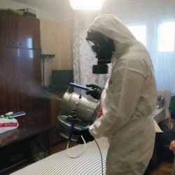 Дезинфекция от клопов в Озерах