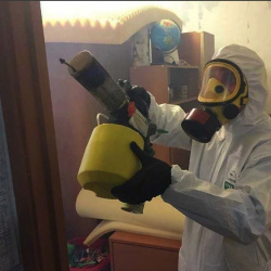 Уничтожение клопов в квартире. Озеры